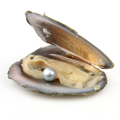 Wow Surprise Amazing Gift Natural Pearl in Natural Shell So nice