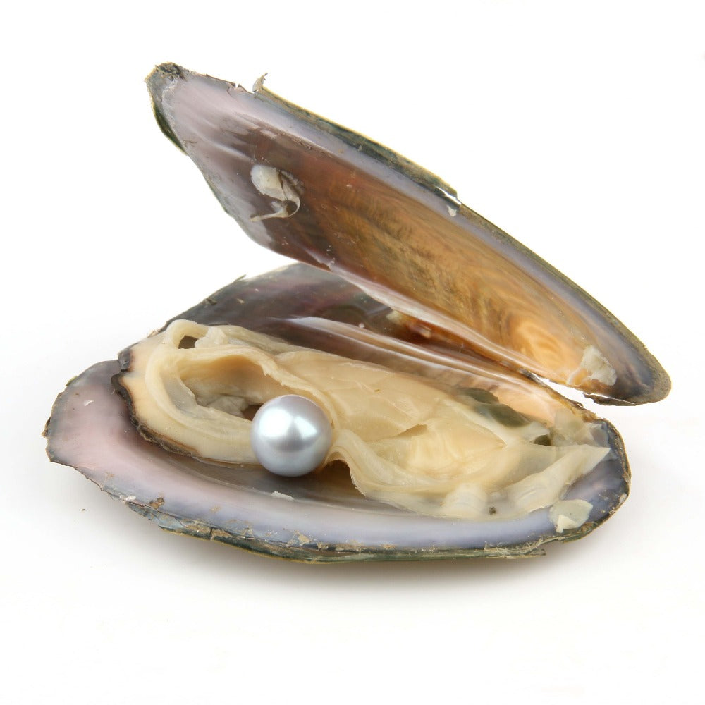 Free shippingYou are more beautiful with this natural pearl 1 pearl in 1 shell