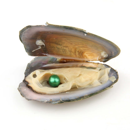 Free shippingYou are more beautiful with this natural pearl 1 pearl in 1 shell
