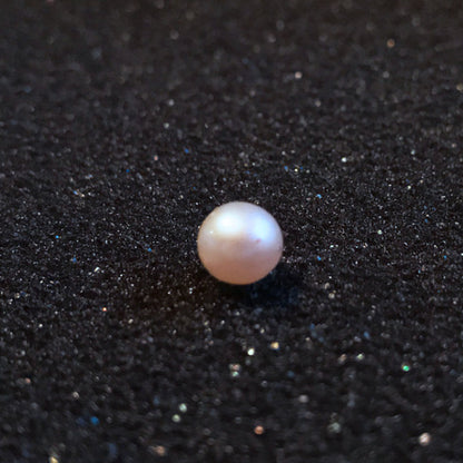 Buy amazing surprise gift for your family friends Natural Pearl with Shell