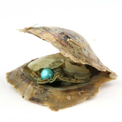 Surprise Amazing Gift show your beauty natural pearl oyster DIY jewelry